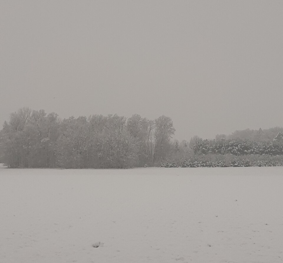 20210107_103214.jpg - love111