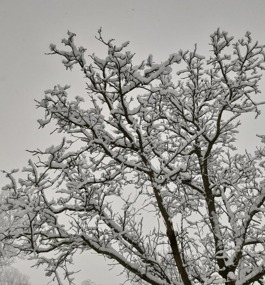 20210107_103320.jpg - love111