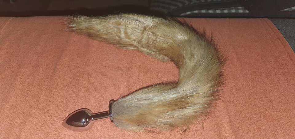 20210107_165427.jpg - TransMalg