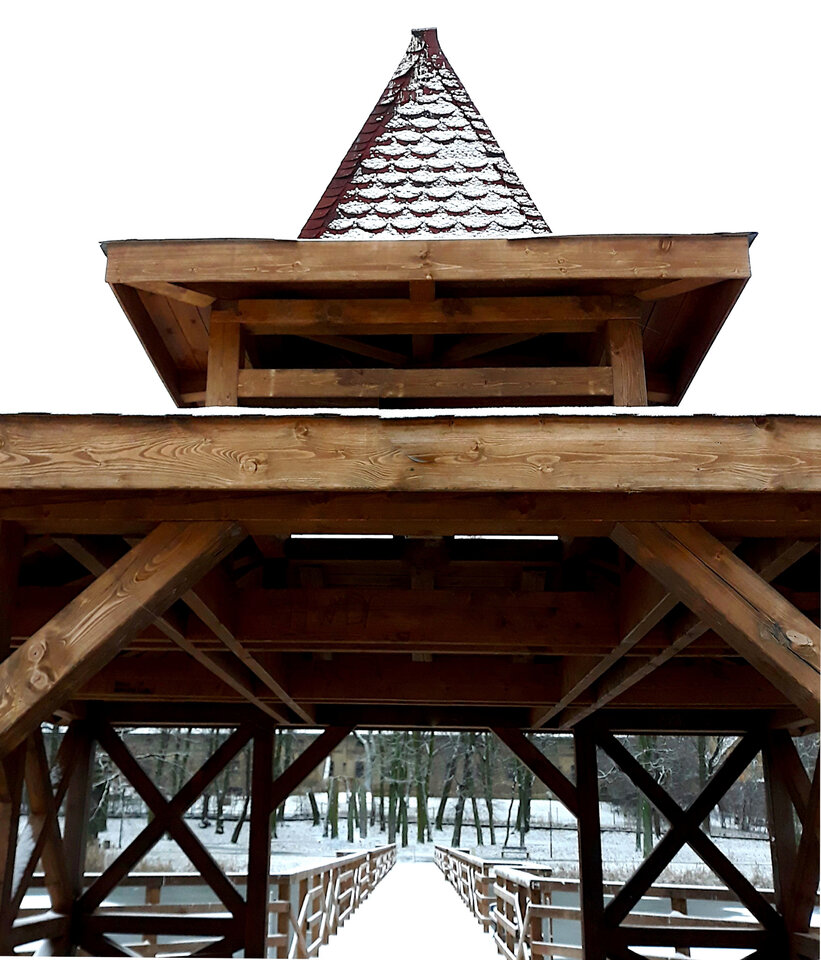 20210104_150817.jpg - Roscoo