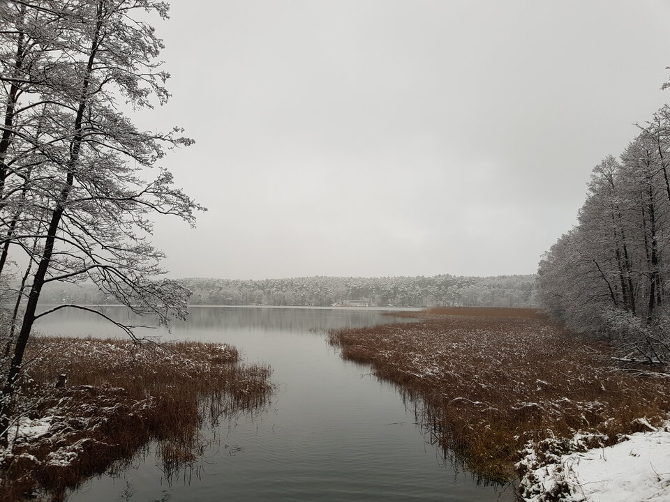 20210107_144525.jpg - SwikB