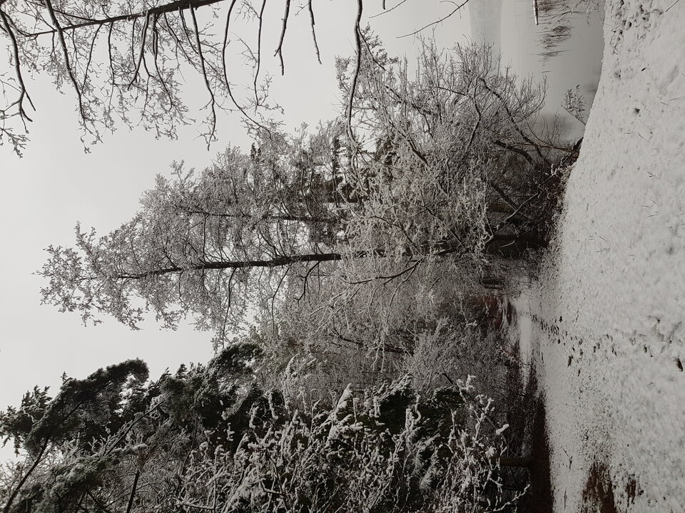 20210107_143849.jpg - SwikB