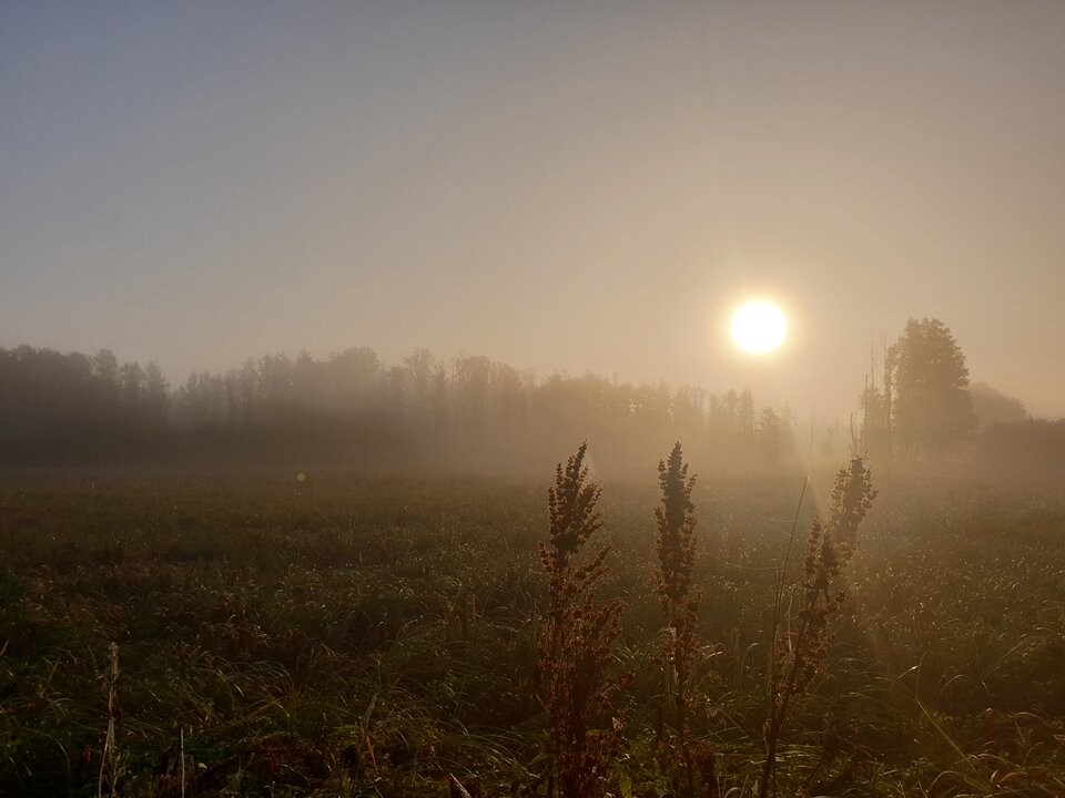 20190922_072349.jpg - TYLKOpatrz1990