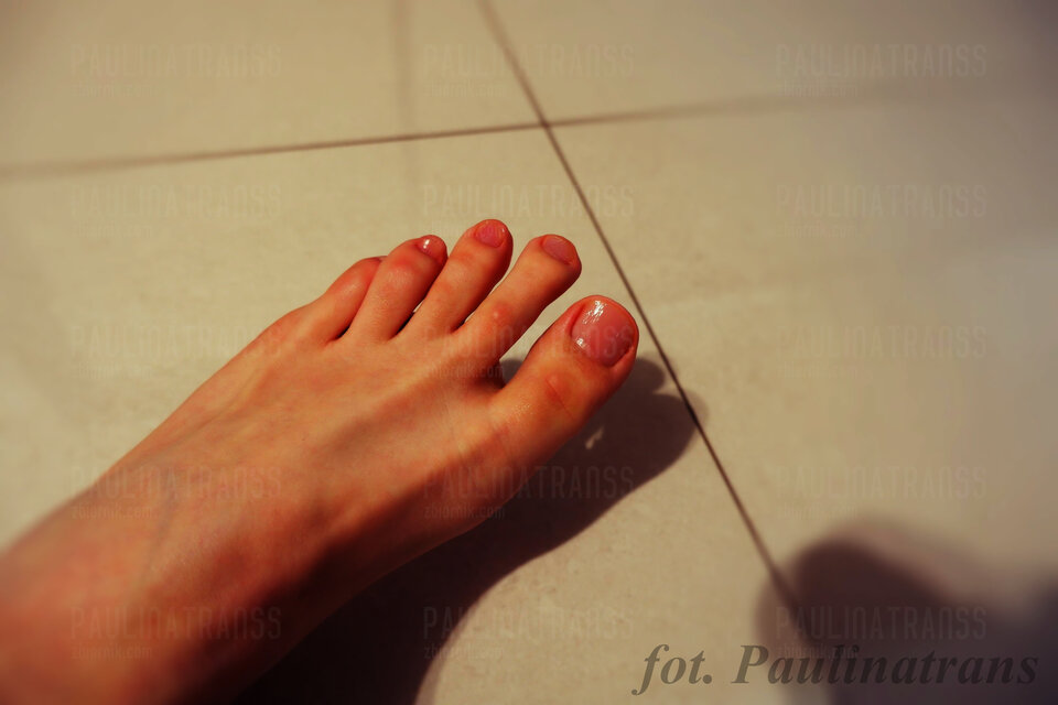 art 5.jpg - paulinatranss