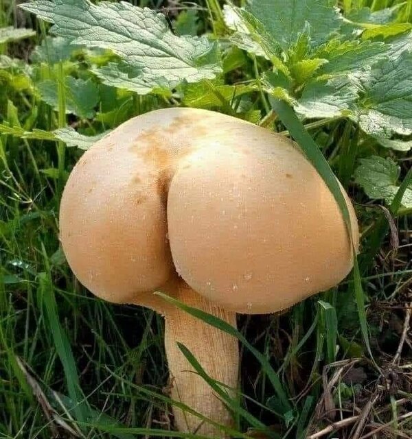 "Kusisz", "sexi", "piękna jesteś" "klaps!"... (zdj. z neta) - Ruski_Trol