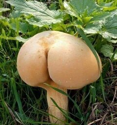 "Kusisz", "sexi", "piękna jesteś" "klaps!"... (zdj. z neta)