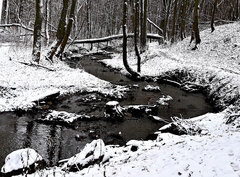 20210109_133246.jpg