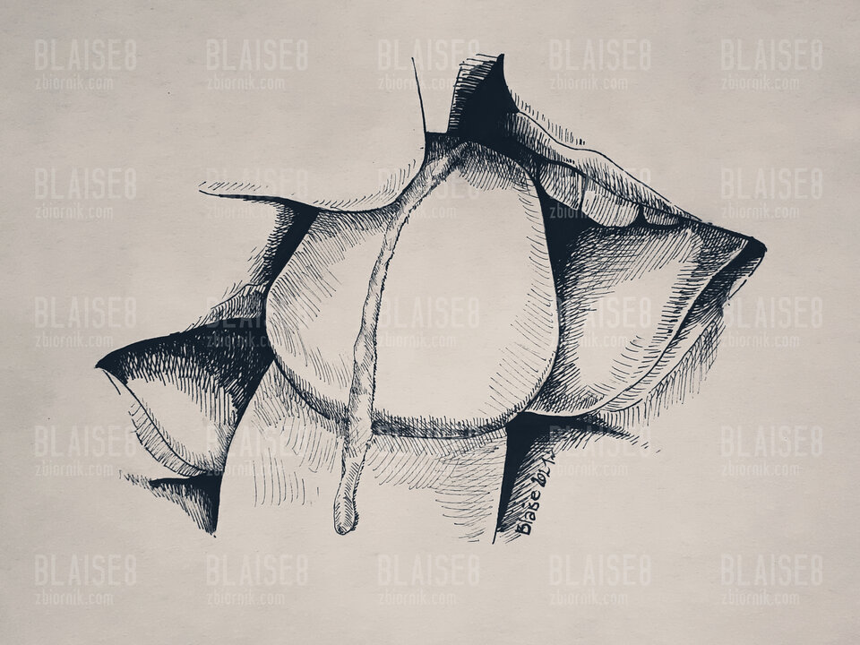 Art no. 79 - blaise8