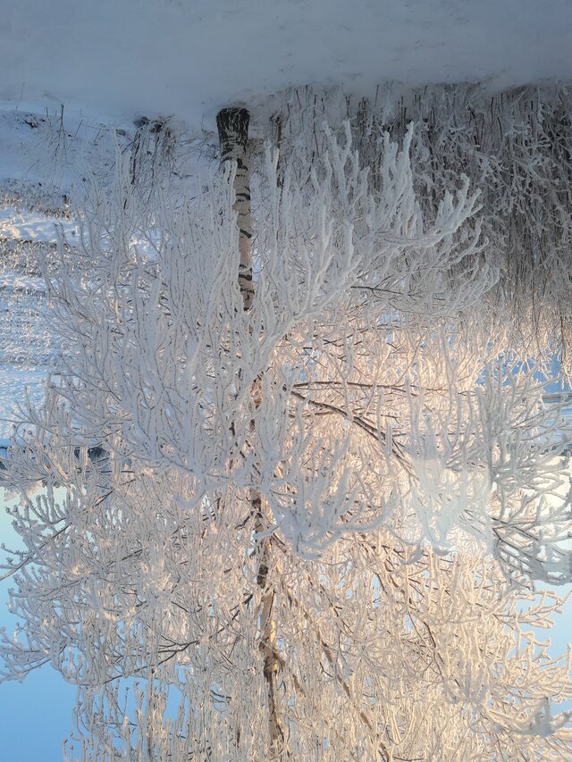 Wredna_Denerwujaca_Wiewiora