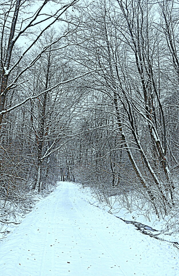 DSC_4251.JPG - demon13