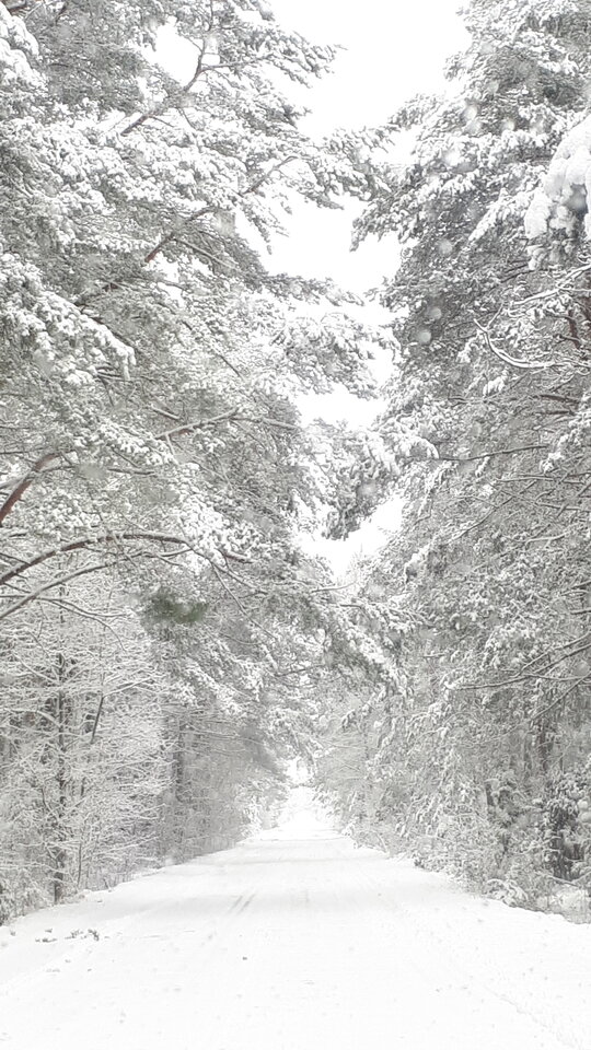 20210113_130017.jpg - Tabas0