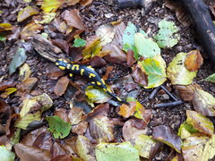 20201015_143145.jpg
