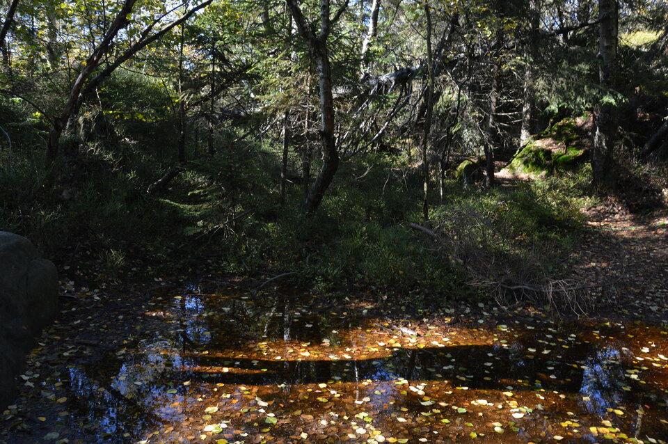 DSC_0173.JPG - IQ250