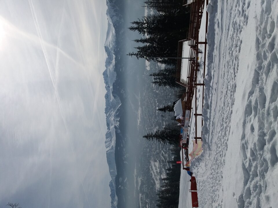 20180305_103931.jpg - julitka145