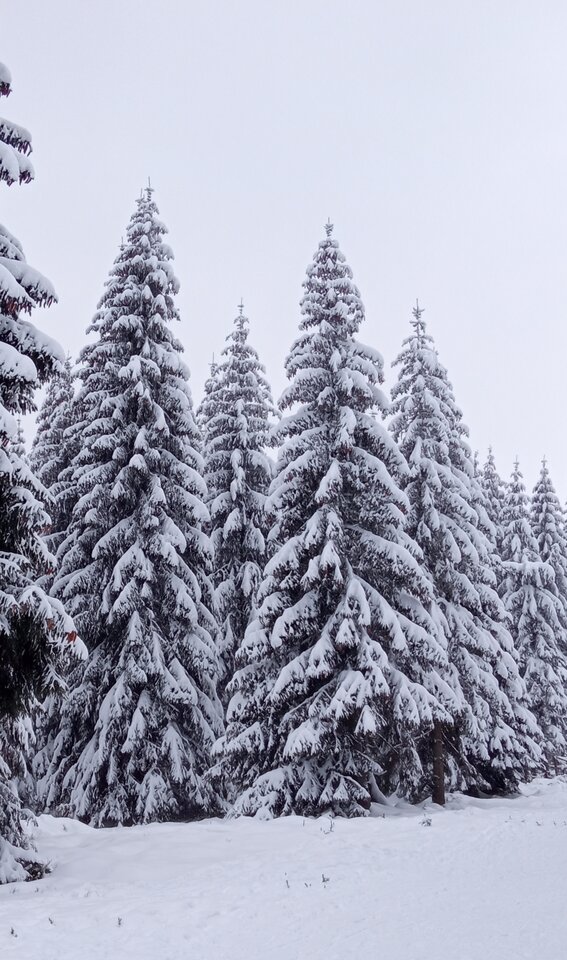 IMG_20210113_221740.jpg - przeznaczenie79