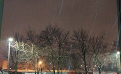 IMG_20210114_012114.jpg
