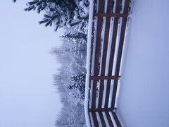 20210114_071742.jpg