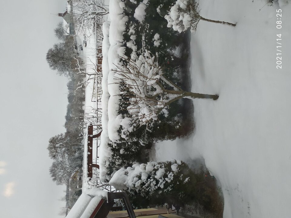 IMG_20210114_082524.jpg - Konkretny64