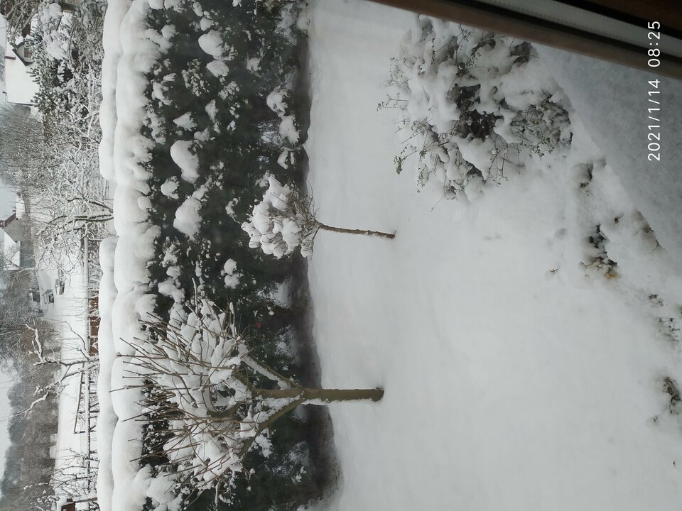 IMG_20210114_082520.jpg - Konkretny64