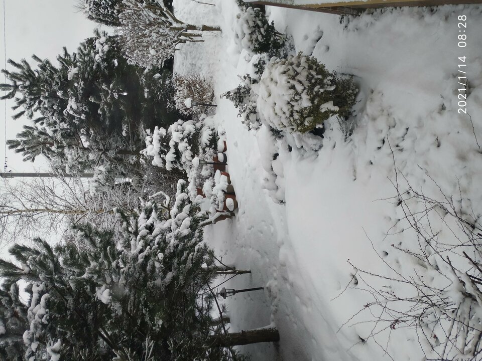 IMG_20210114_082831.jpg - Konkretny64