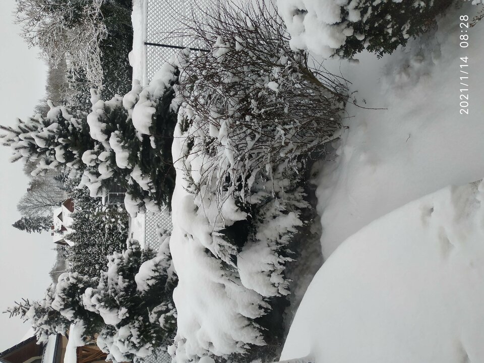 IMG_20210114_082849.jpg - Konkretny64