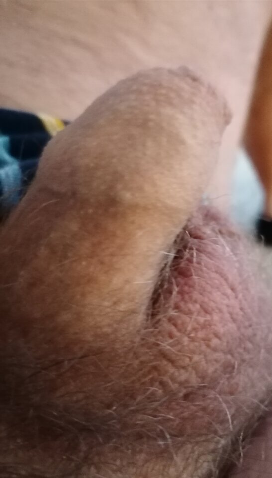 Czeka na szparke - ja1975