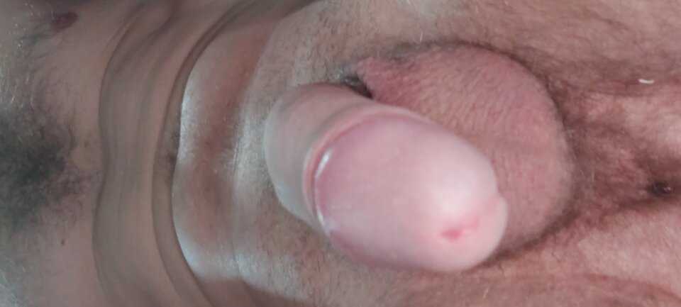 16106893113782006891527783338884.jpg - bialy198