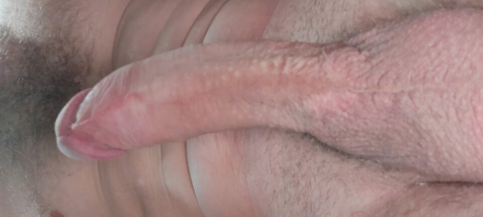 16106894099884542092072958605171.jpg - bialy198