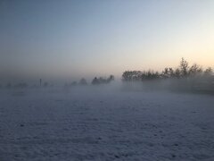 IMG-20210109-WA0000.jpg