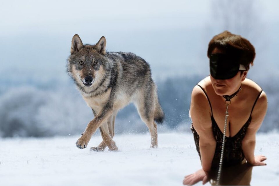 🐺BBW...🐺 - wyjebanexxpoxxcalosci