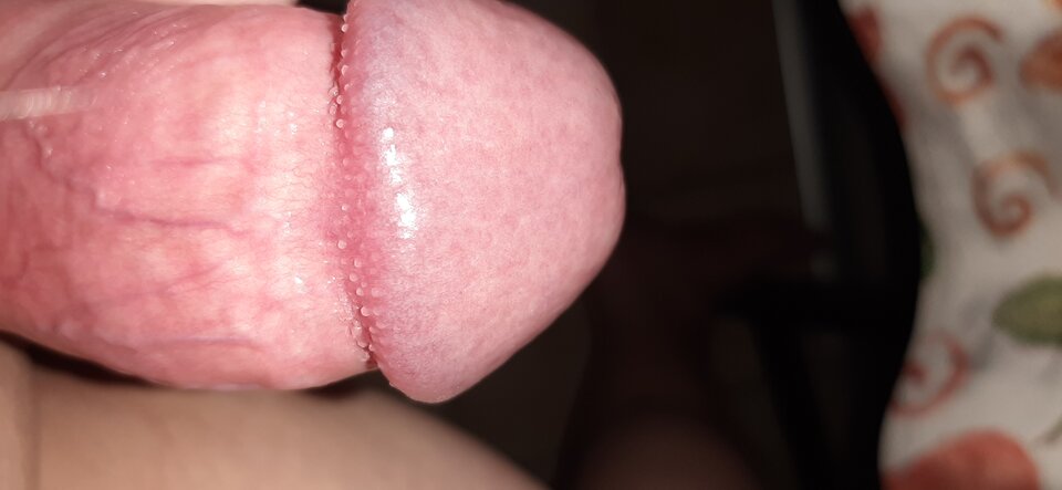 20210115_100545.jpg - pasywkrk80