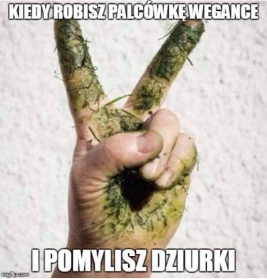 594CE040-0FAD-4499-B5DC-8E4CC0CDA850.jpeg - Dsquared2