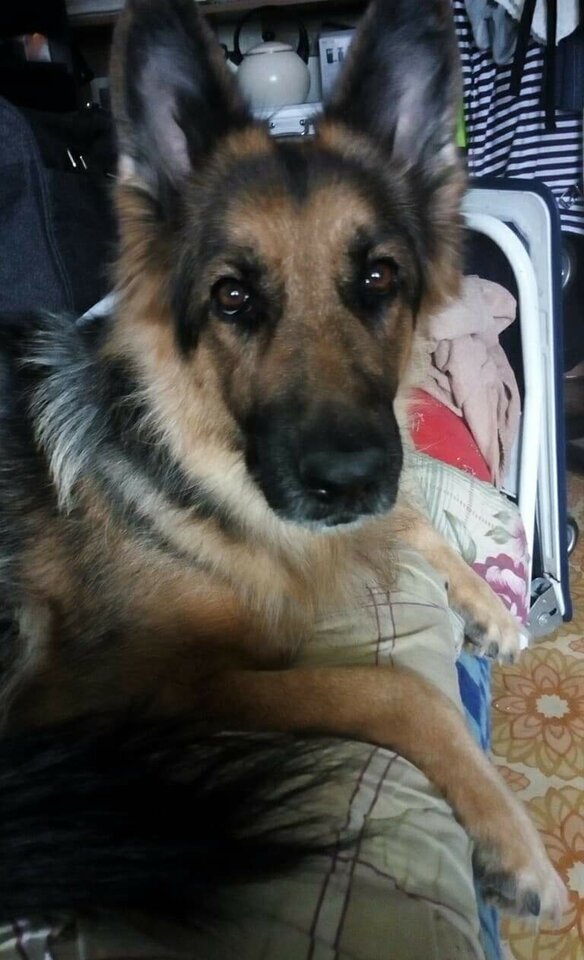 received_545615416290771.jpeg - hedon1sta