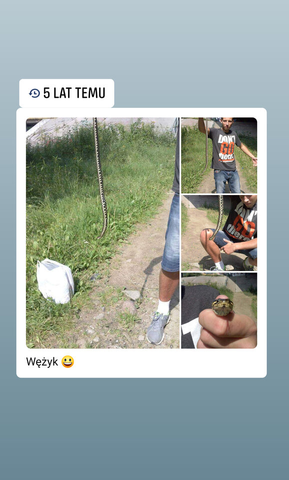 IMG_1565095585202.jpg - hedon1sta