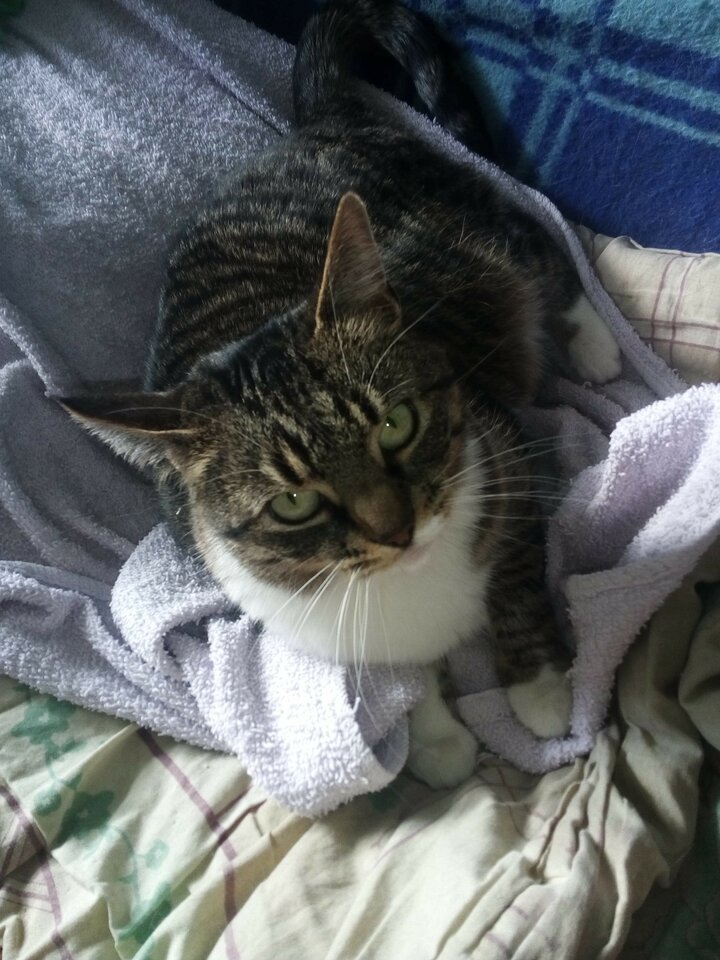 received_2523441324537725.jpeg - hedon1sta