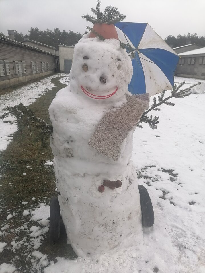 IMG_20210115_130216.jpg - Bolekoll