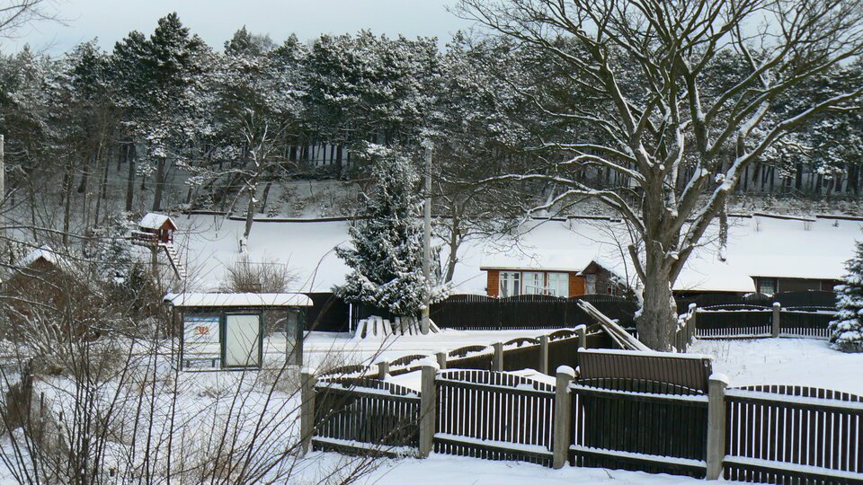 P1140796.JPG - matmartifer