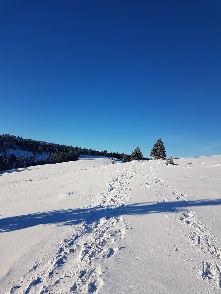 20200112_085016.jpg - kris97