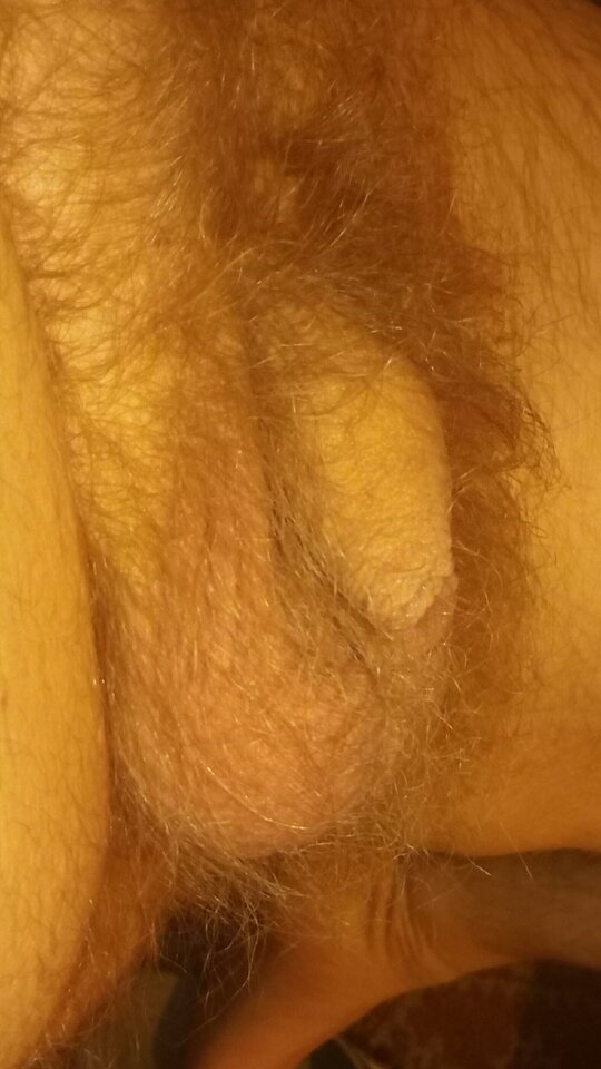 IMG_20210117_043927.jpg - Tomek698107