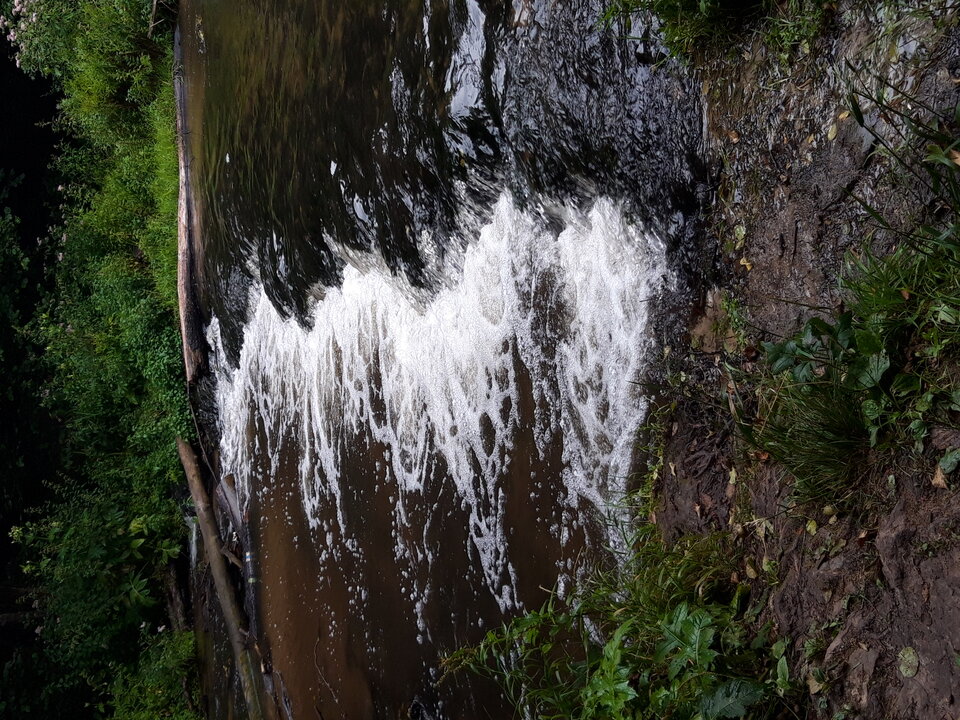 20190721_173229.jpg - marker111