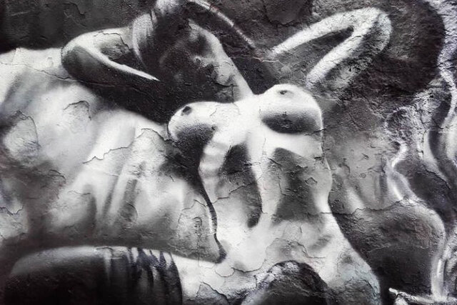 PSX_20210117_200955.jpg - kris198519