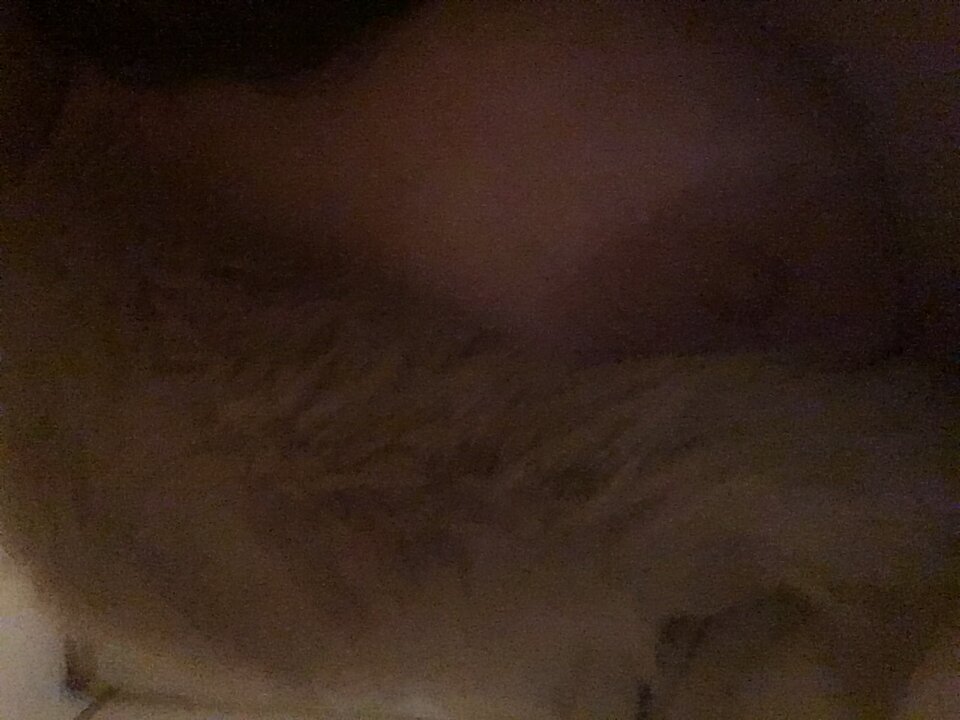 IMG_0473.JPG - anarchy2021