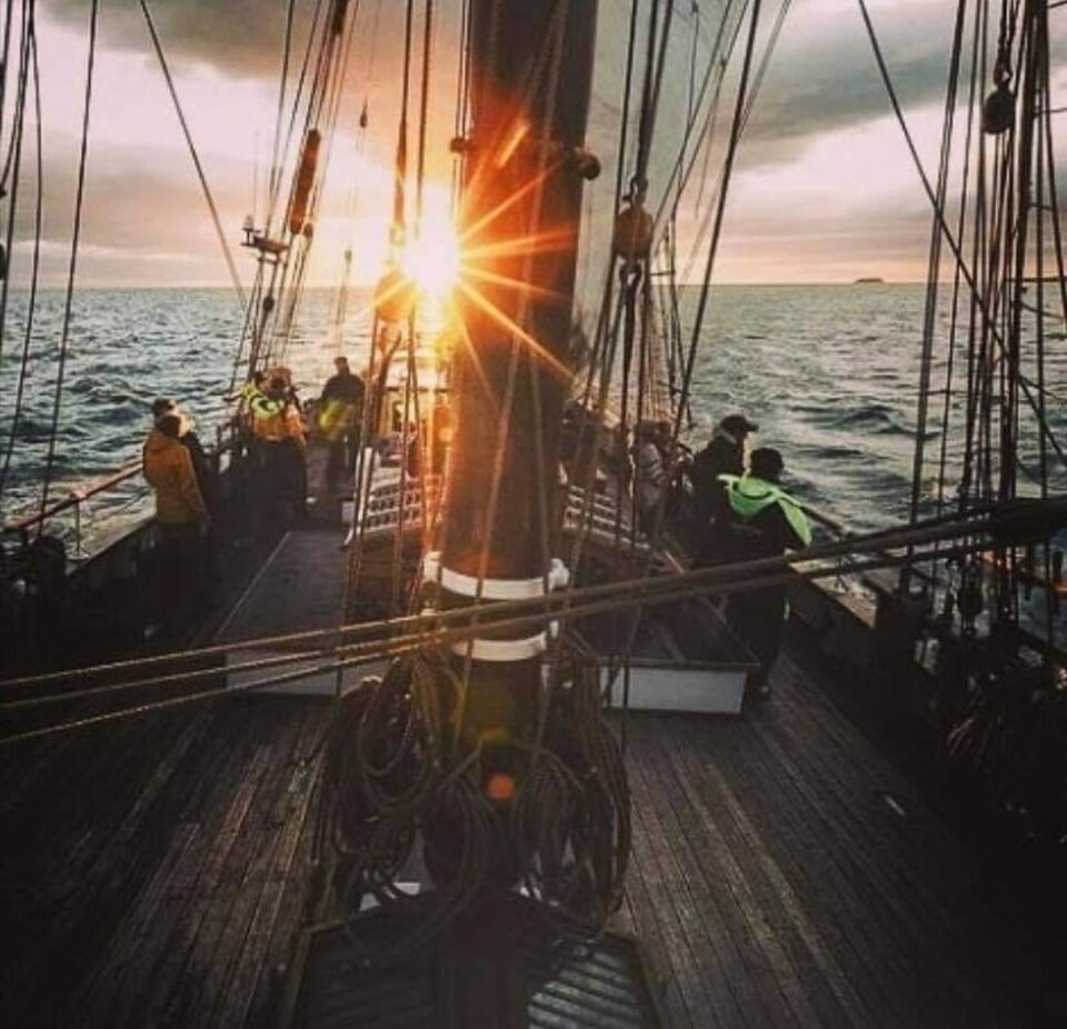 IMG_20210118_073924.jpg - Puch_chatka