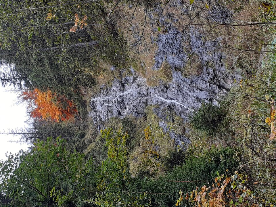 20191003_110904.jpg - 19slaw79