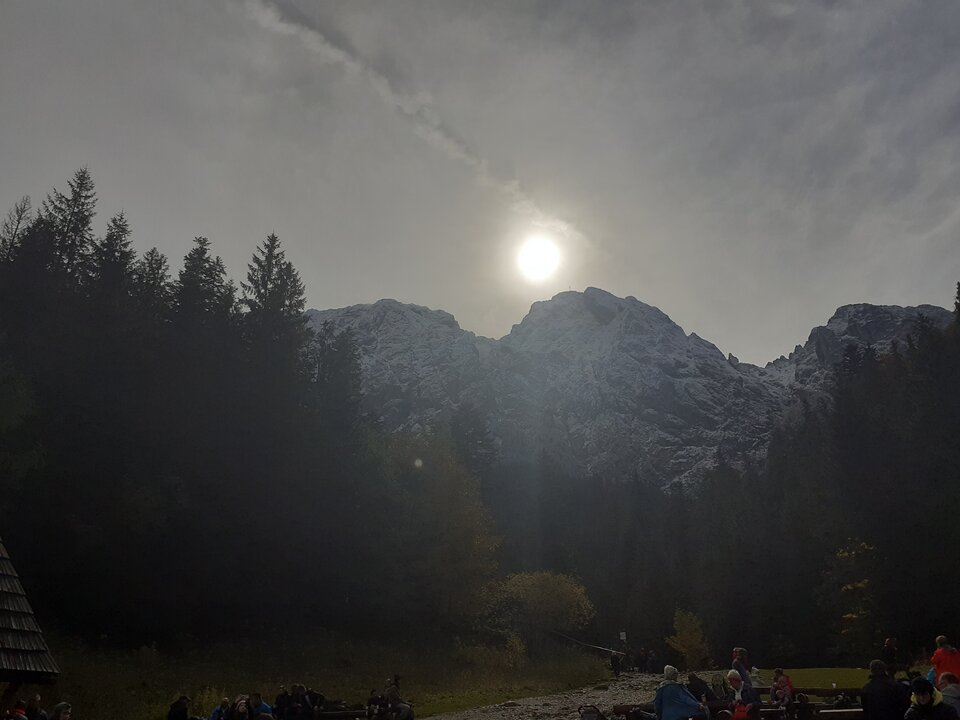 20191003_113626.jpg - 19slaw79