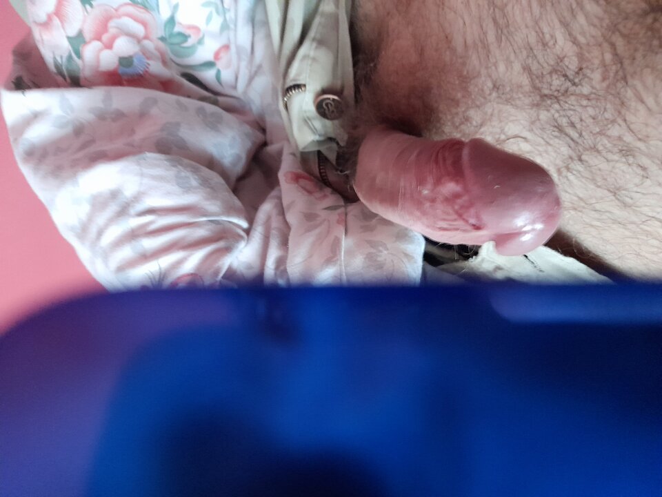 16110500509271538283322317401049.jpg - Namietny12344321