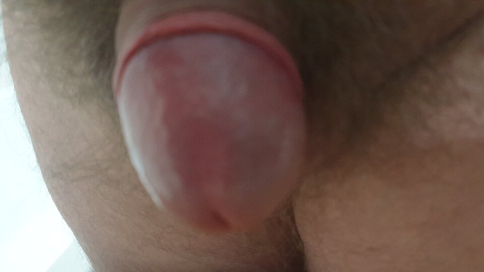 20210119_143805.jpg - Oralescu666