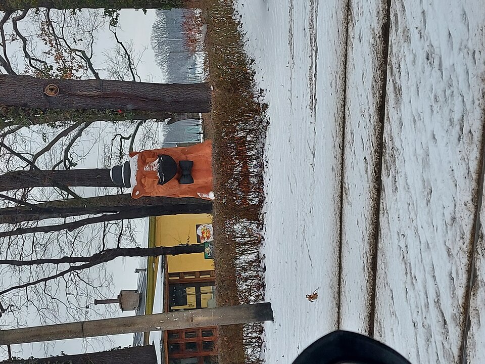 20210119_091742.jpg - A7REPPU