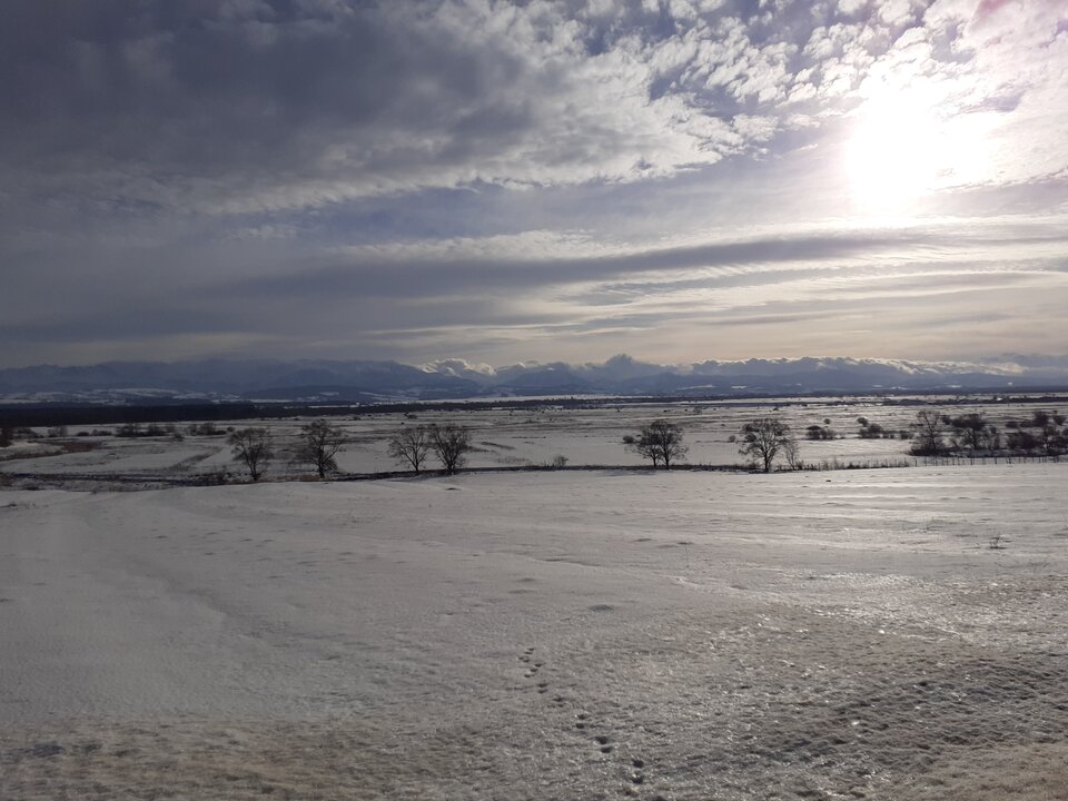 20210121_135938.jpg - tropiciel123