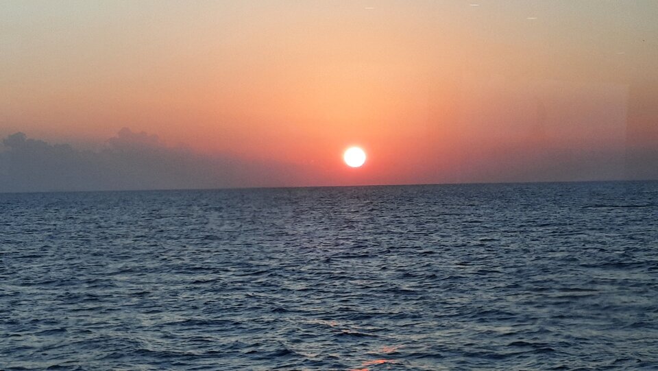 20201108_060613.jpg - EscortMan78